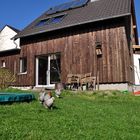 Haus und Huhn 2