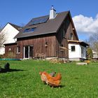 Haus und Huhn