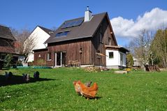 Haus und Huhn