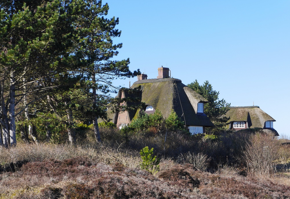 Haus und Natur im Einklang, auf Sylt