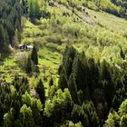 Haus und Wald über der Gotthardroute bei Wassen