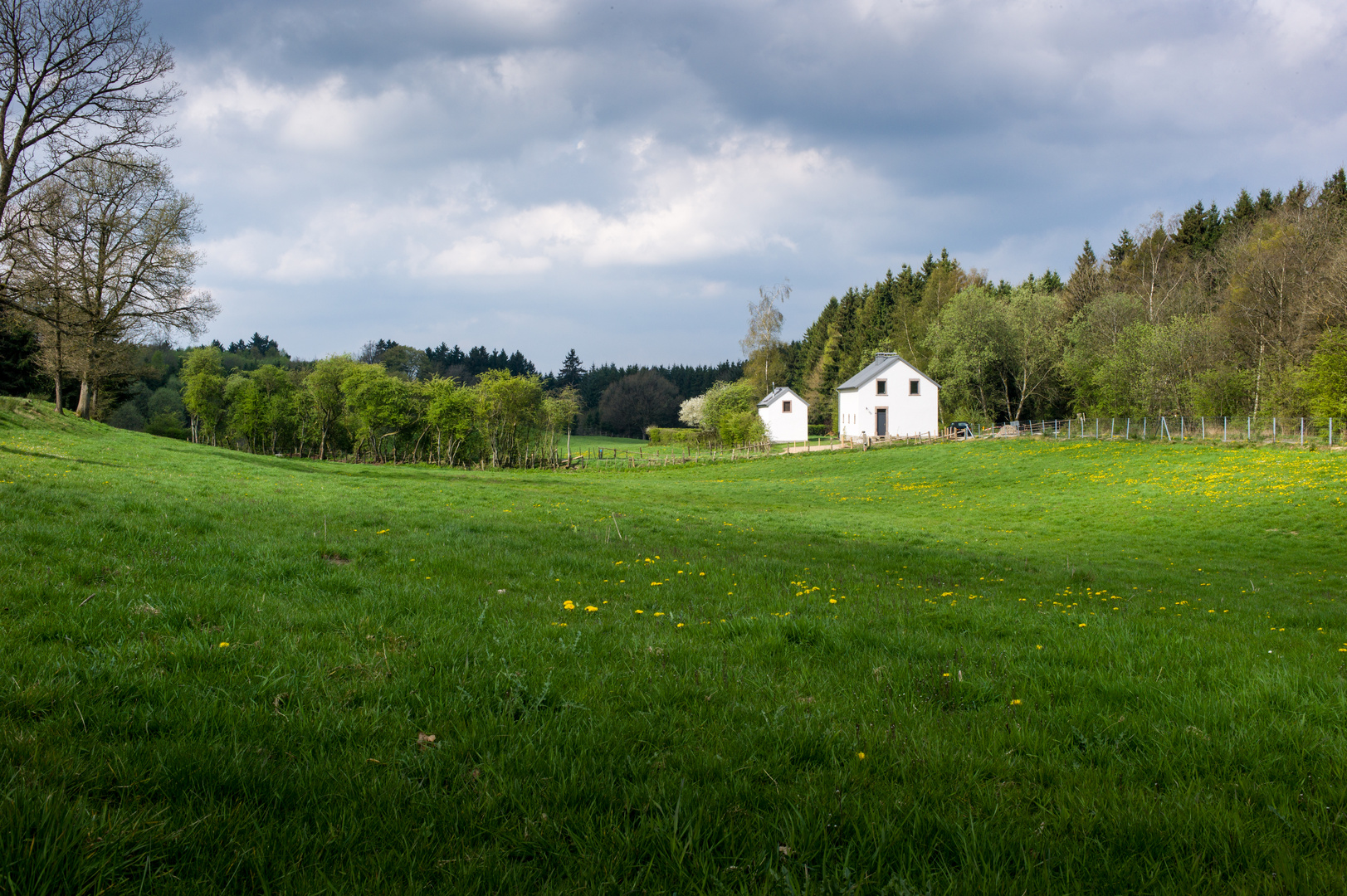 Haus und Wiese