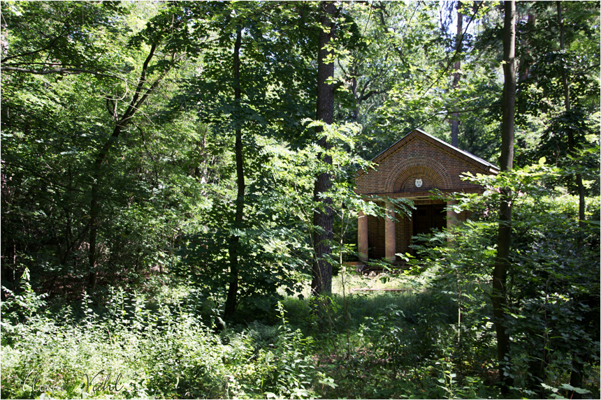 Haus unter Bäumen