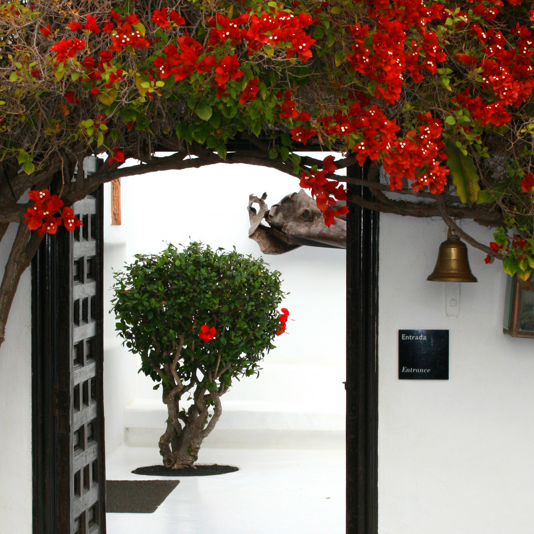 Haus von Caesar Manrique (Lanzarote)