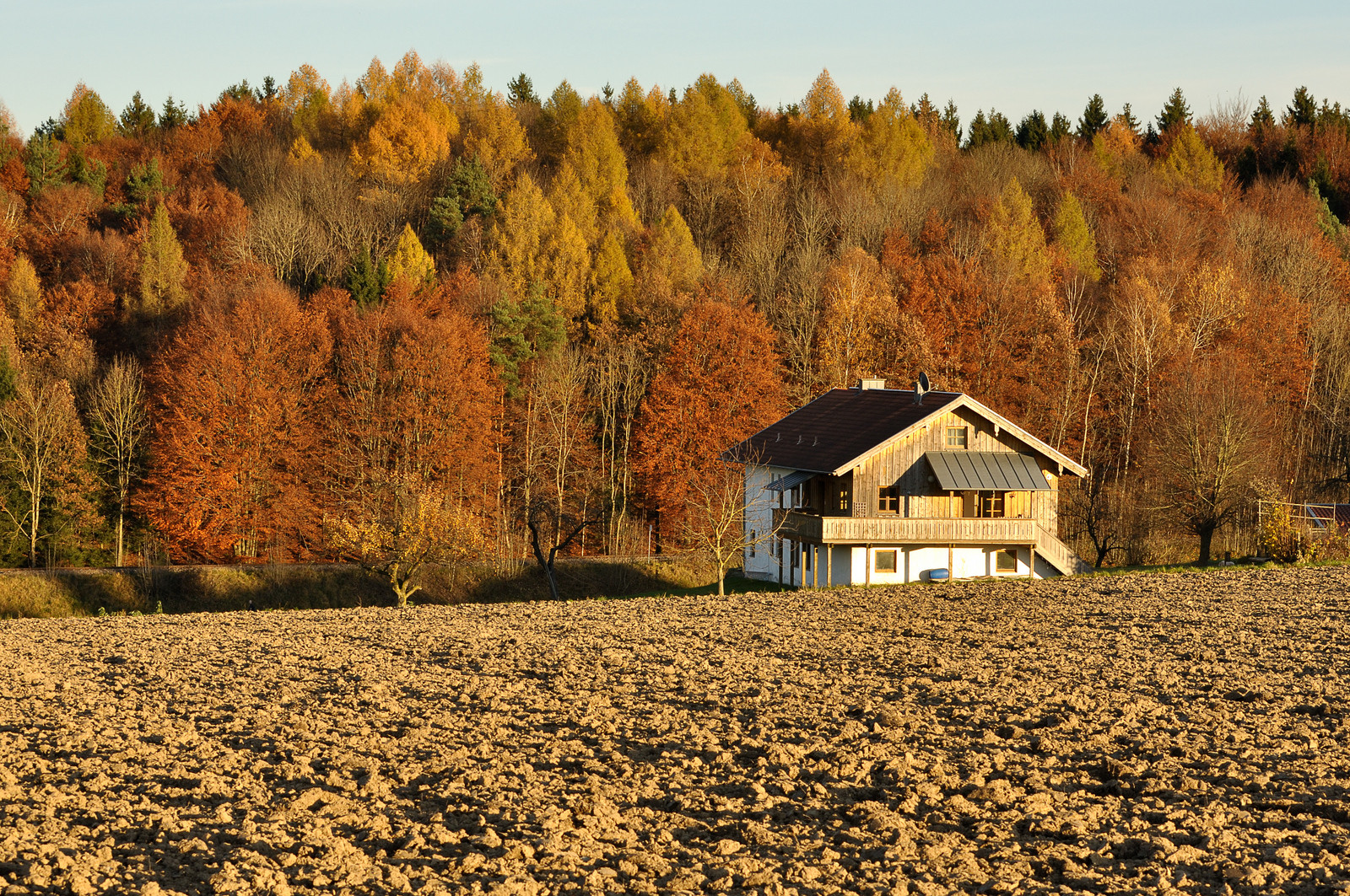 Haus vor Herbstwald