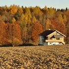 Haus vor Herbstwald