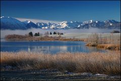~ HAUSAMSEE ~