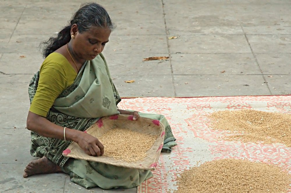 Hausarbeit in Chennai