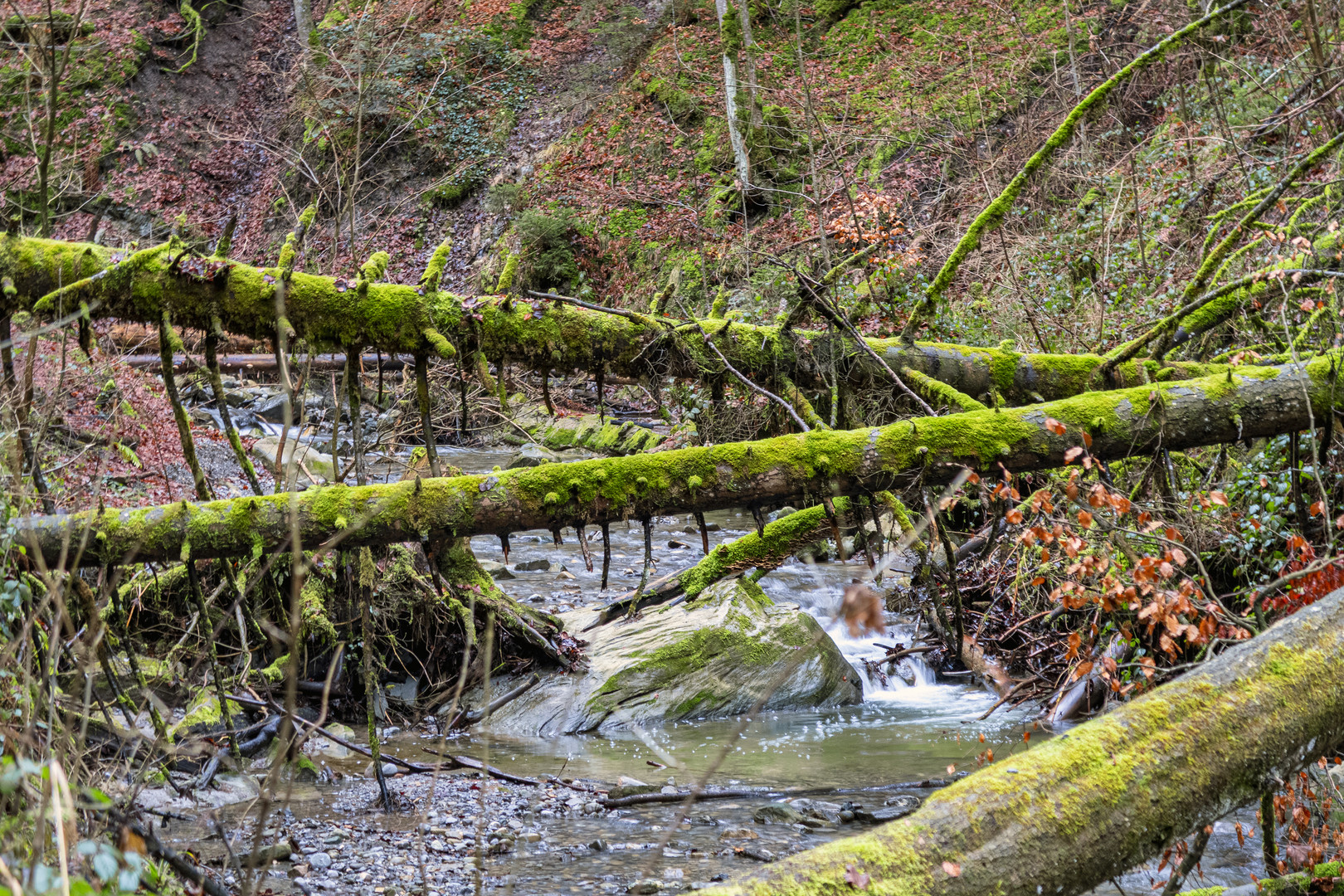 Hausbachklamm