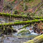 Hausbachklamm