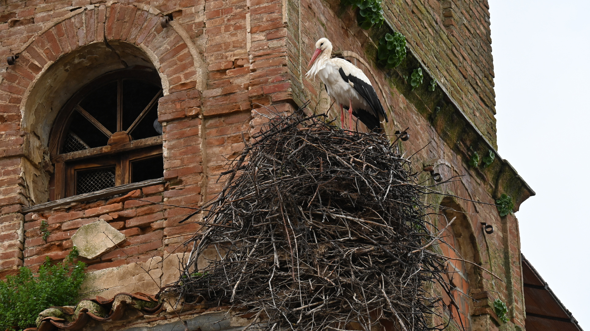 Hausbau abgeschlossen