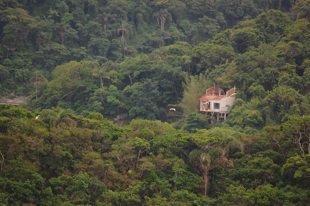 Hausbau im Dschungel von Brasilien