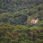 Hausbau im Dschungel von Brasilien