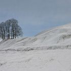 Hausberg, am Kloster Einsiedeln, Schweiz Kanton Schwyz