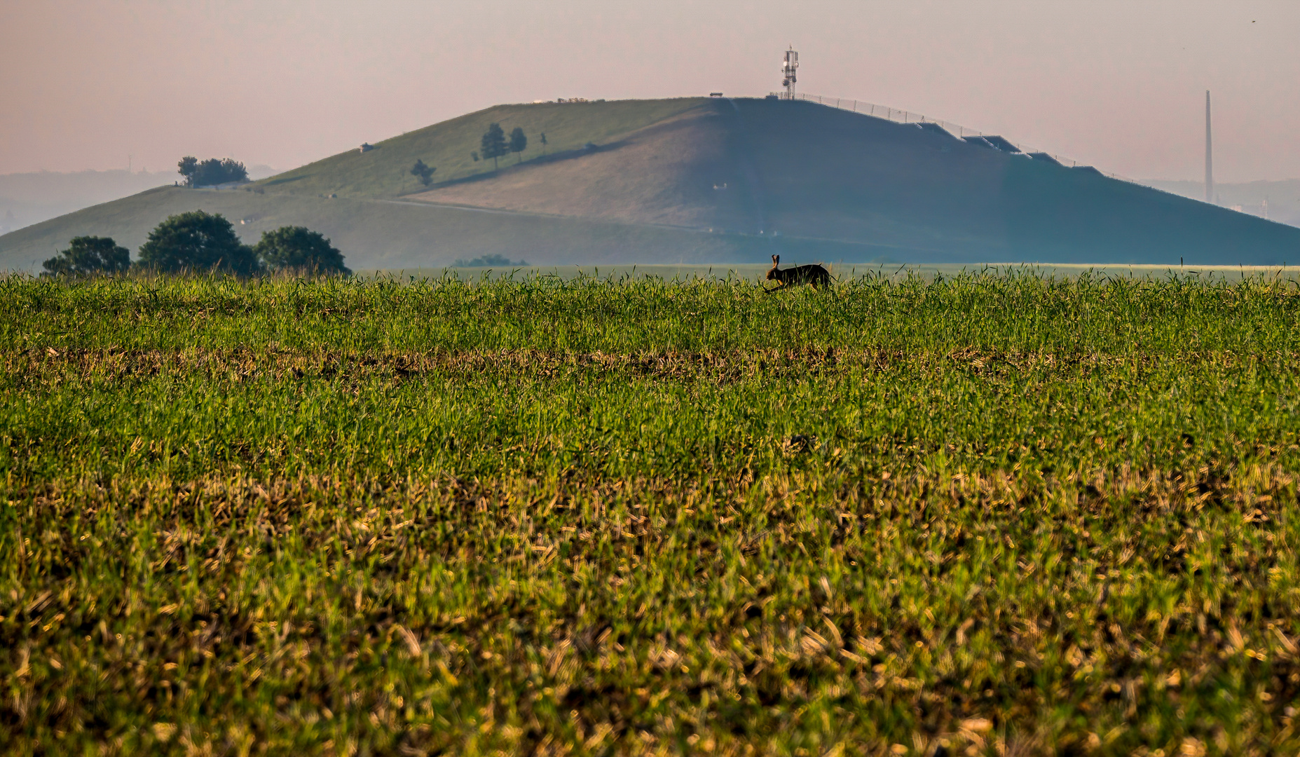 "HAUSBERG VACH"