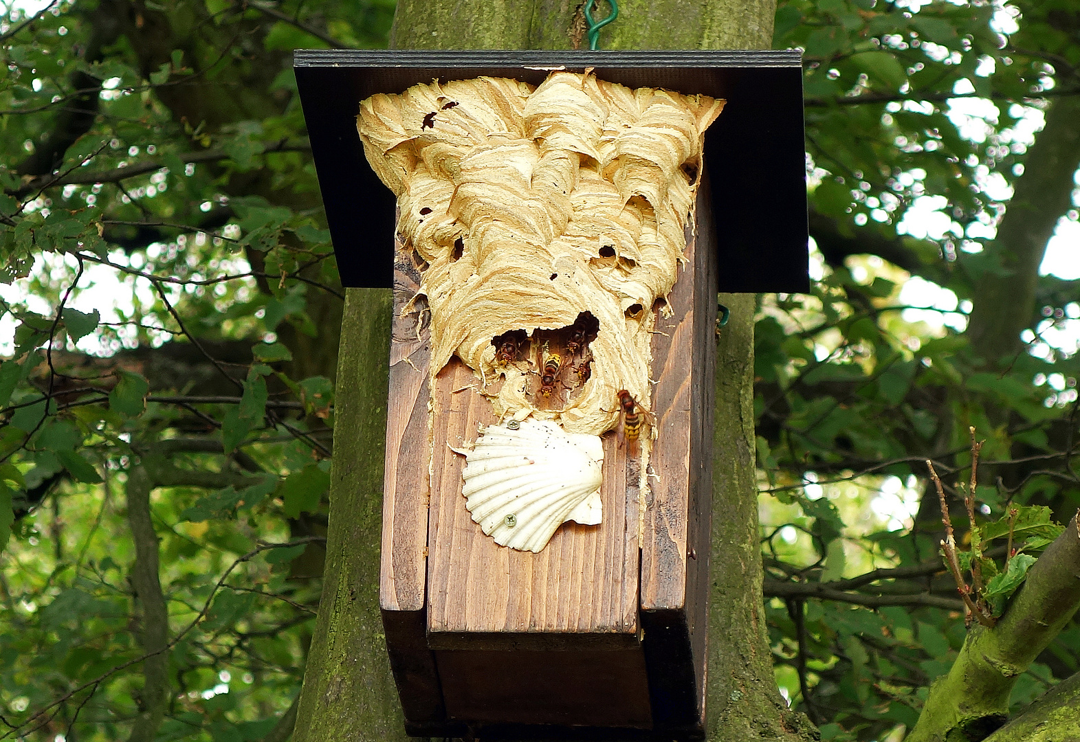 Hausbesetzung am Jakobsweg