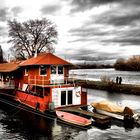 Hausboot an der Niddamündung zum Main in Frankfurt-Höchst