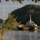 Hausboot in der Frühsonne, Rhein bei Bornheim-Hersel, 13.08.2007