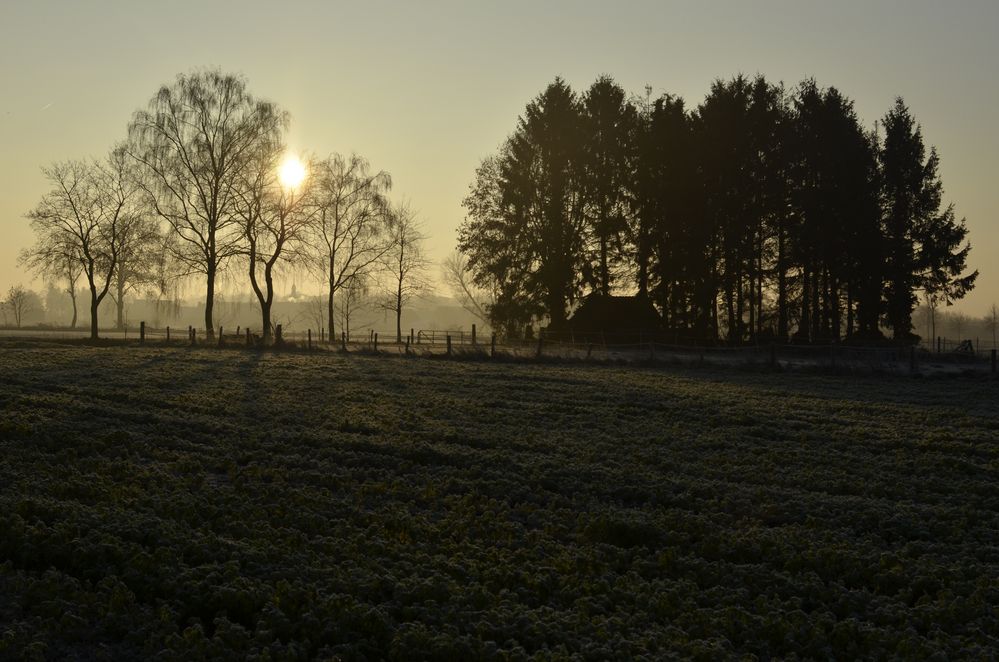 Hausdülmen am Morgen