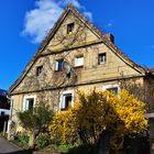 Hausfassade im Frühling