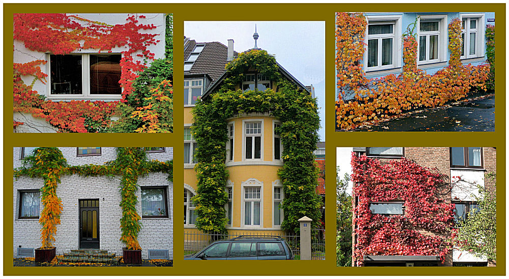 Hausfassaden im Herbst