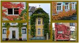 Hausfassaden im Herbst von Günter Walther 