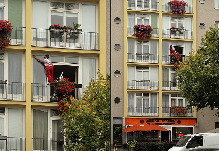 Hausfrau: Ein Lebensgefährlicher Beruf!