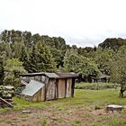 Hausgartenkultur im Ruhrgebiet