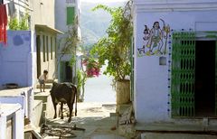 Hausgott am Heiligen See in Pushkar