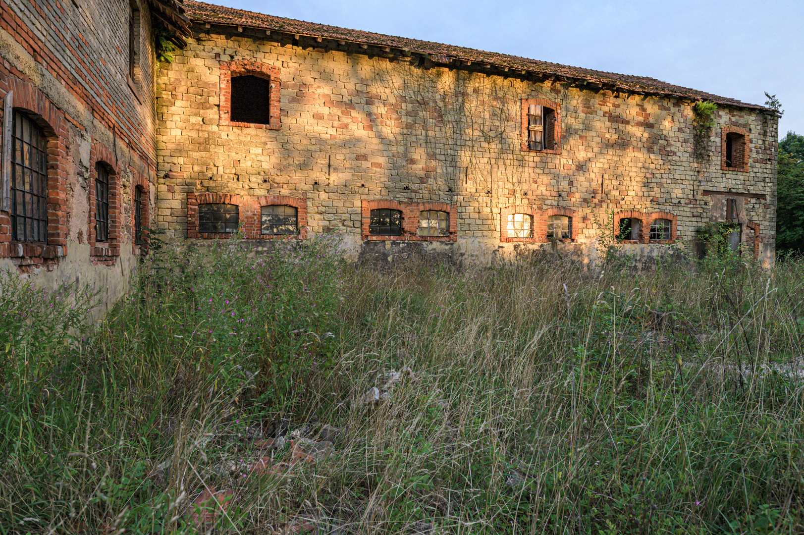 Hauskauf - Bauernhof