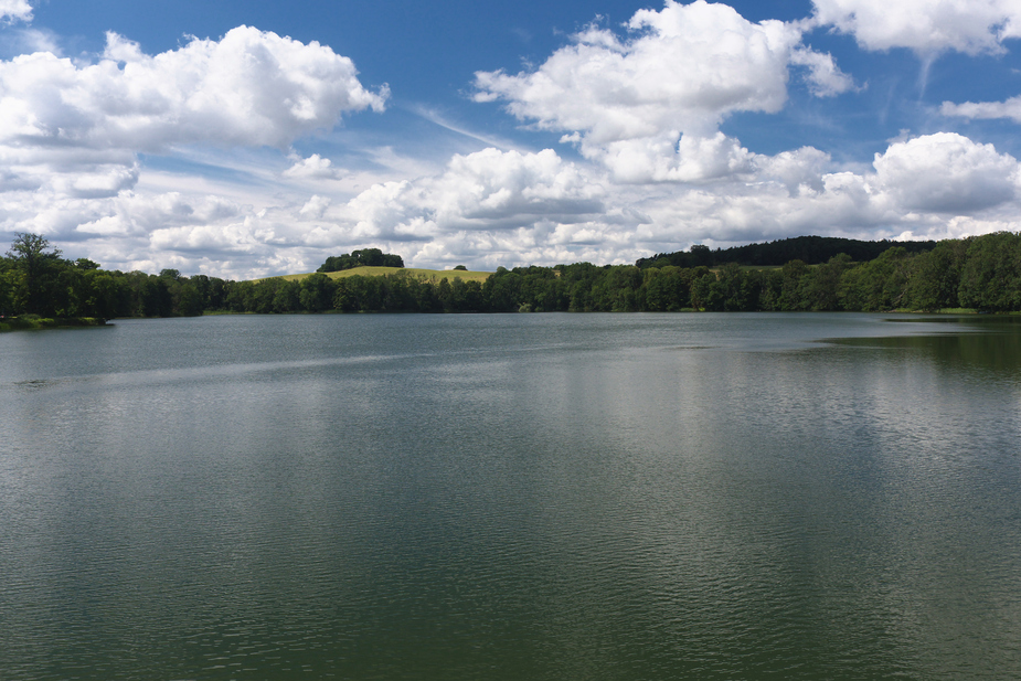 Haussee