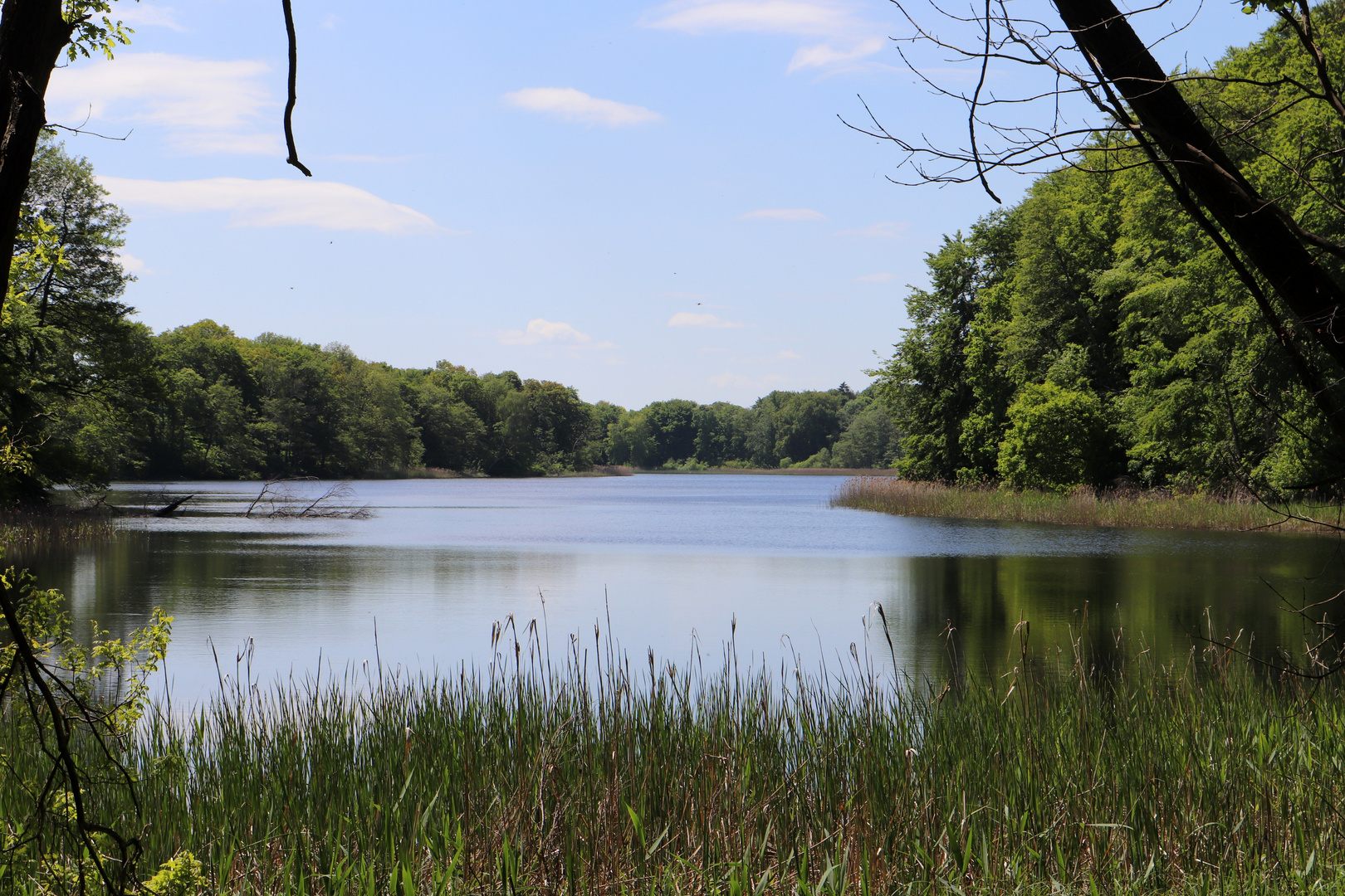 Haussee bei Wolfshagen