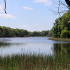 Haussee bei Wolfshagen