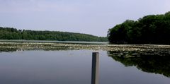 Haussee im Havelland (Oberhavel)