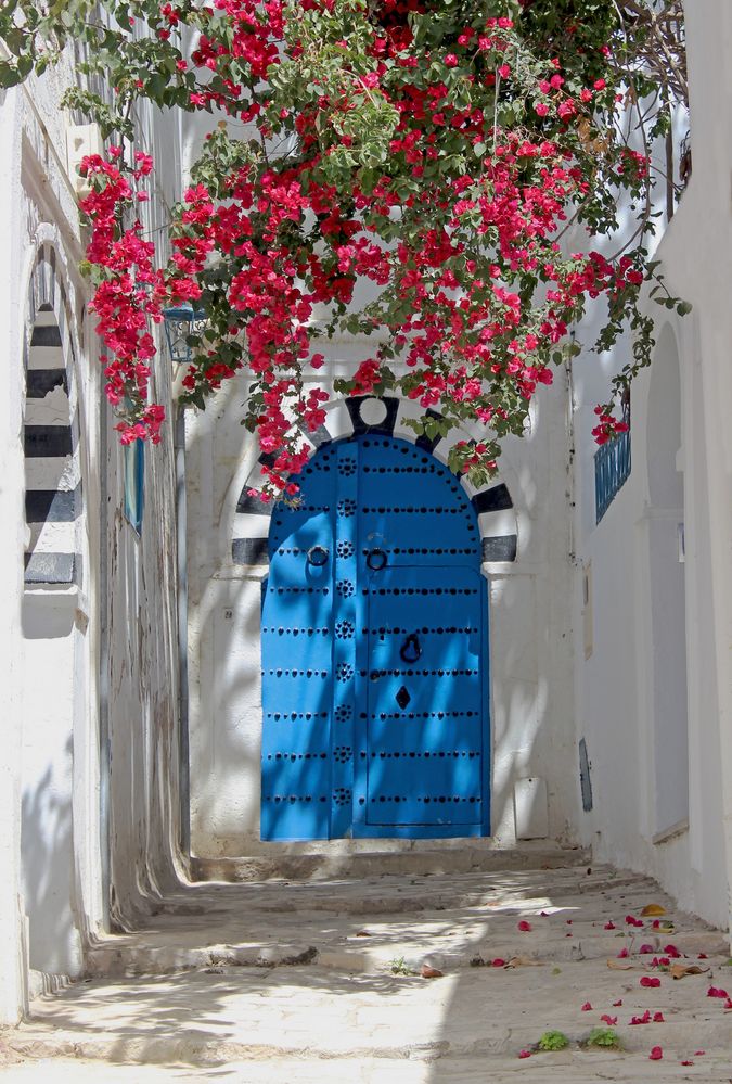 Haustür in Sidi Bou Saïd 