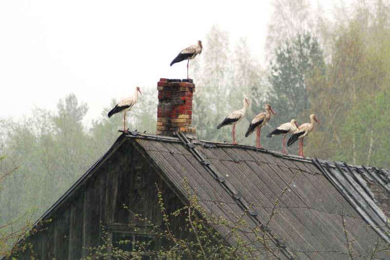 Hausversammlung...