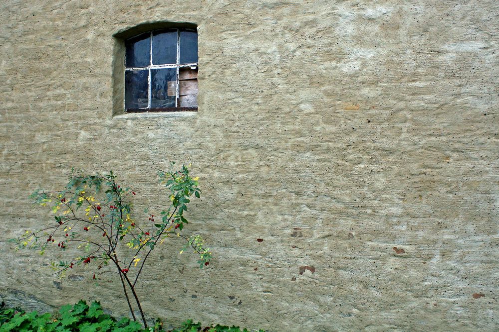 Hauswand Foto & Bild | architektur, ländliche architektur, motive