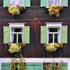 Hauswand mit grünen Fensterläden