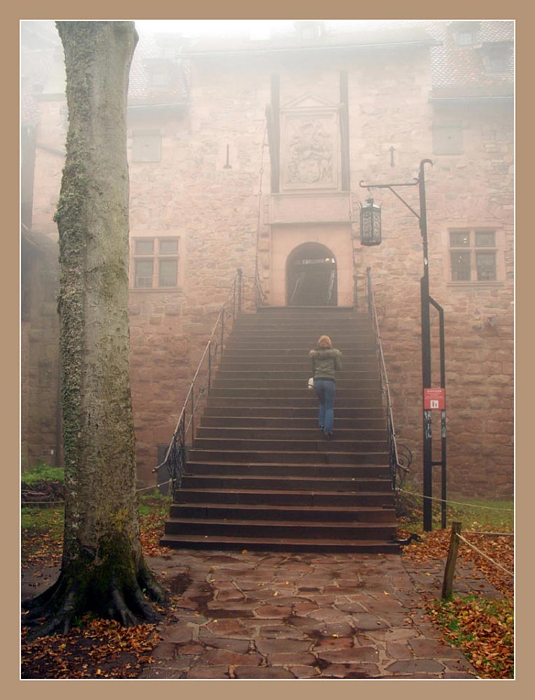 Haut Koenigsbourg 2