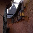 "Haut Koenigsbourg"10