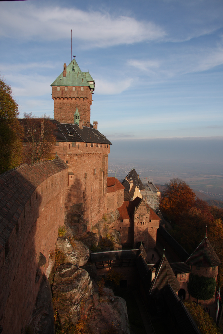 Haut - Königsburg