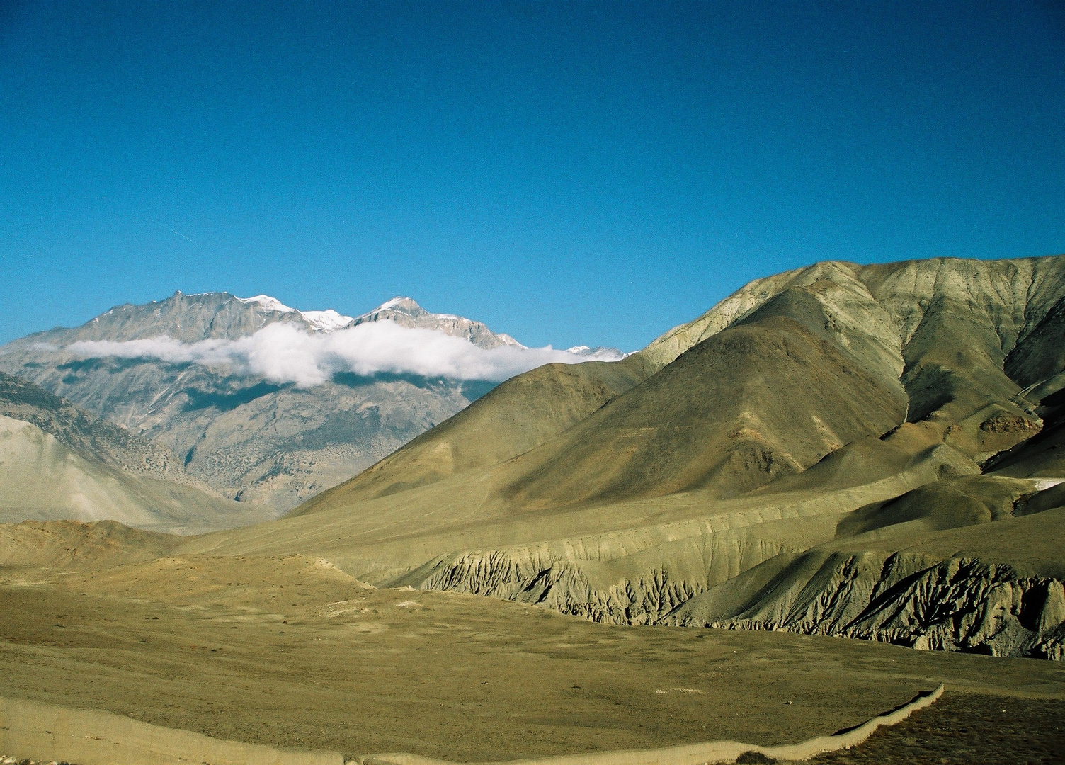 haut Mustang