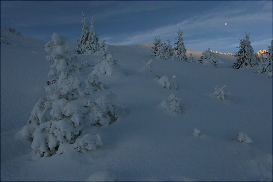 Hautachia im Winter