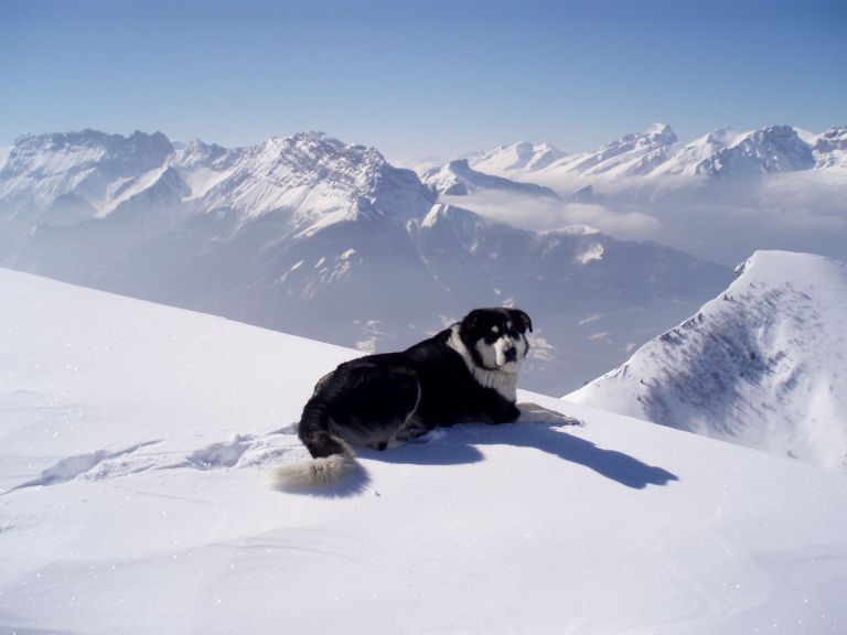 haute Maurienne