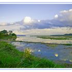 Haute mer dans la baie