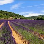 Haute-Provence