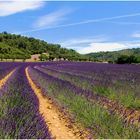 Haute-Provence