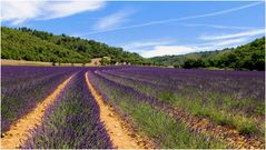 Haute-Provence