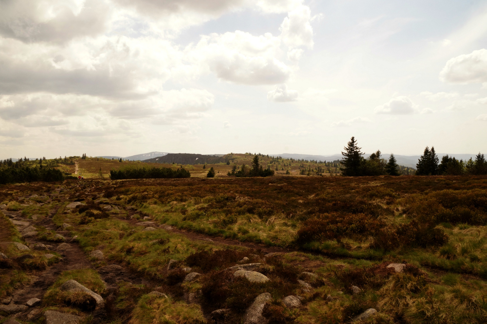 Hautes Chaumes Foto & Bild landschaften, natur, landschaft Bilder auf
