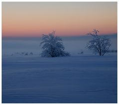 Hautes Fagnes 1